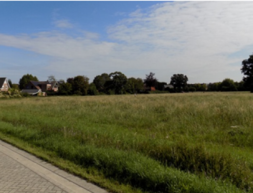 Antwerp Demonstration in the News (in Dutch)